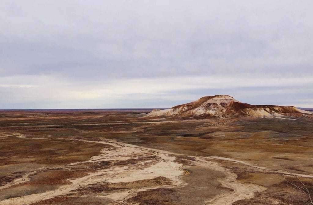 The landscape between this point and into the distance consists entirely of stones without any vegetation. Painted Desert SA.