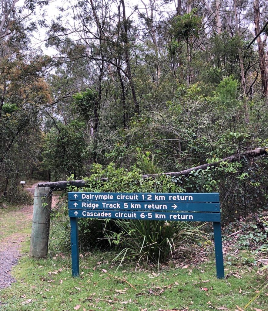 Walking tracks at the Goomburra section of Main Range National Park.