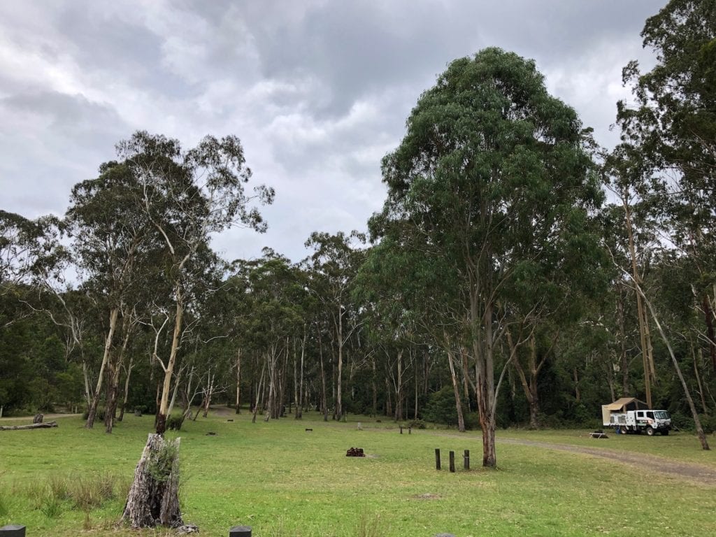 Manna Gums campground, Goomburra section of Main Range National Park.