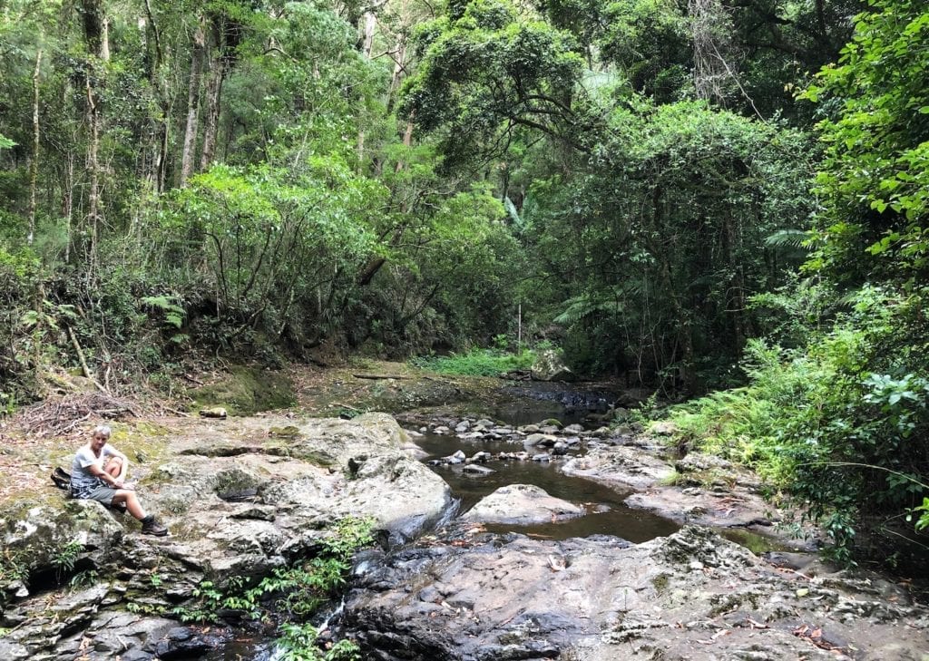 Dalrymple Creek flows over black basalt rocks. Cascades rainforest walk.