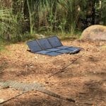 Our REDARC solar blanket with a goanna on the extension lead.