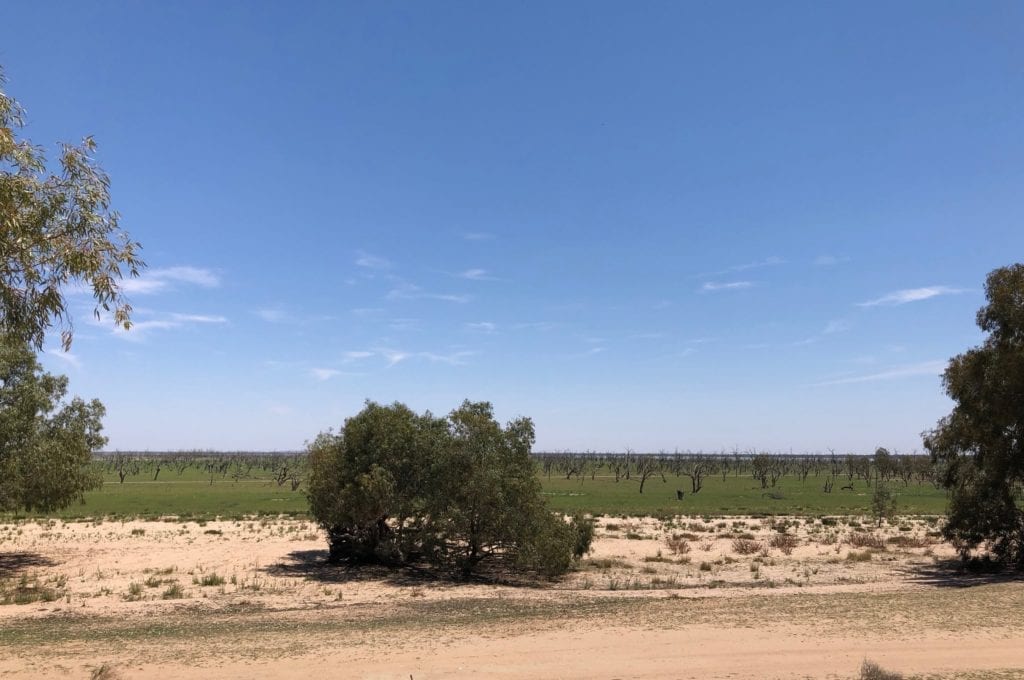 Menindee Lakes were all but dry in Oct 2018. Murray Darling Basin.