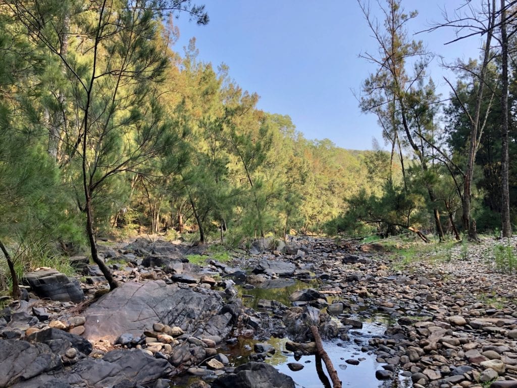 Deua River was low, but is still a beautiful place to camp. Bush camping near Canberra.