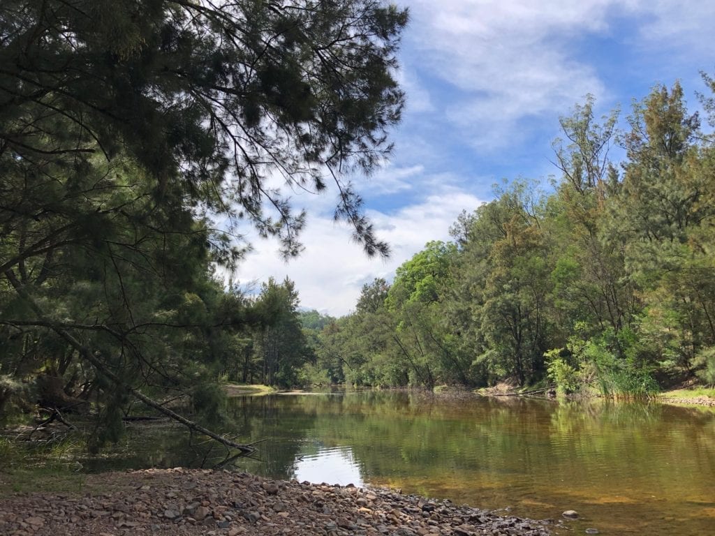 Deua River at Dry Creek Camping Area. Bush camping near Canberra.