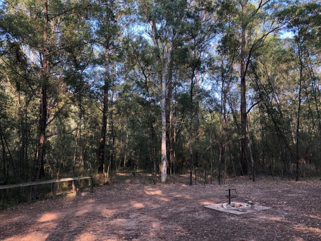 The "formal" campground at Dry Creek Camping Area. Bush camping near Canberra.