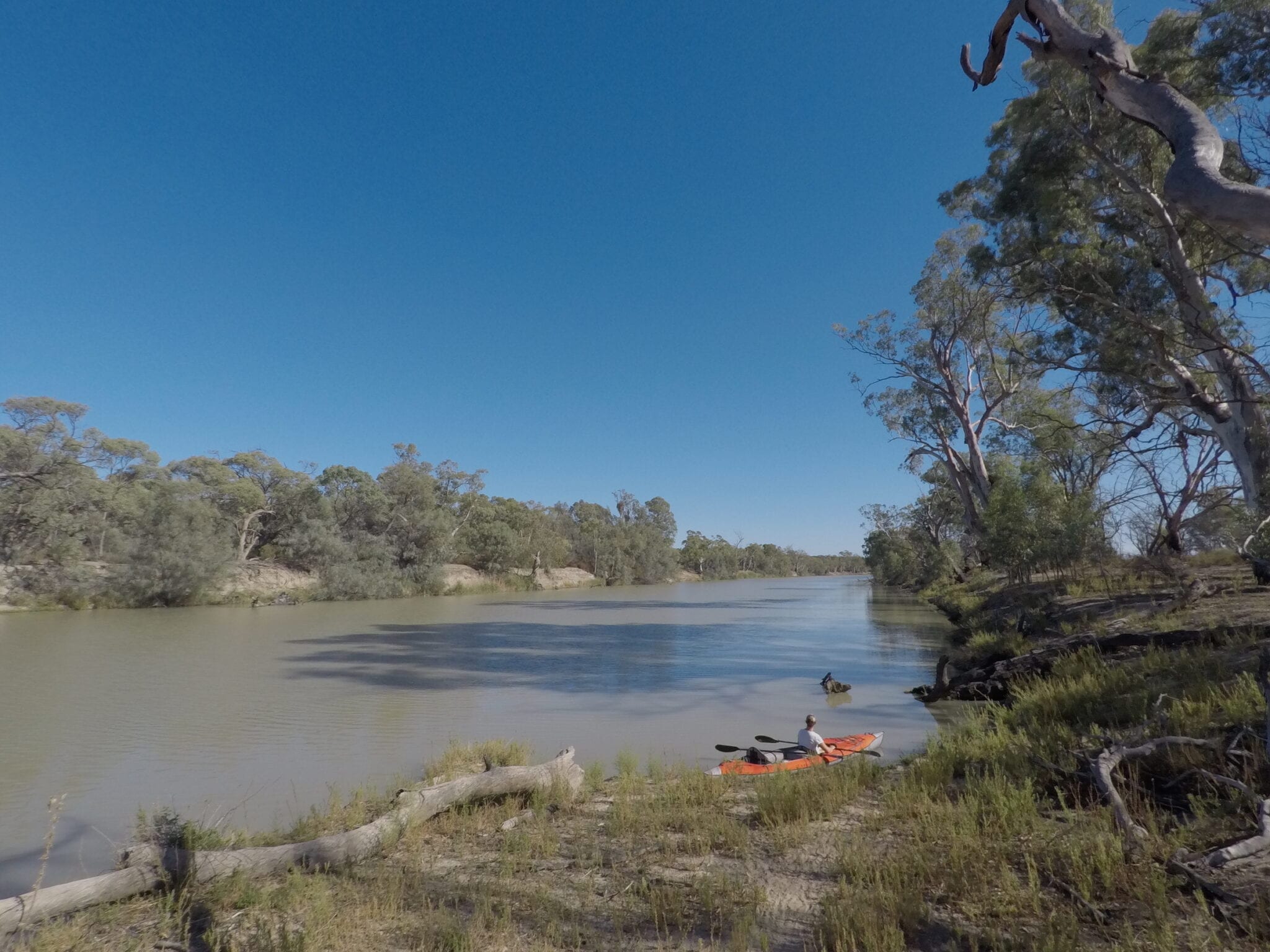 Kayaking The Murray River, looking upstream.