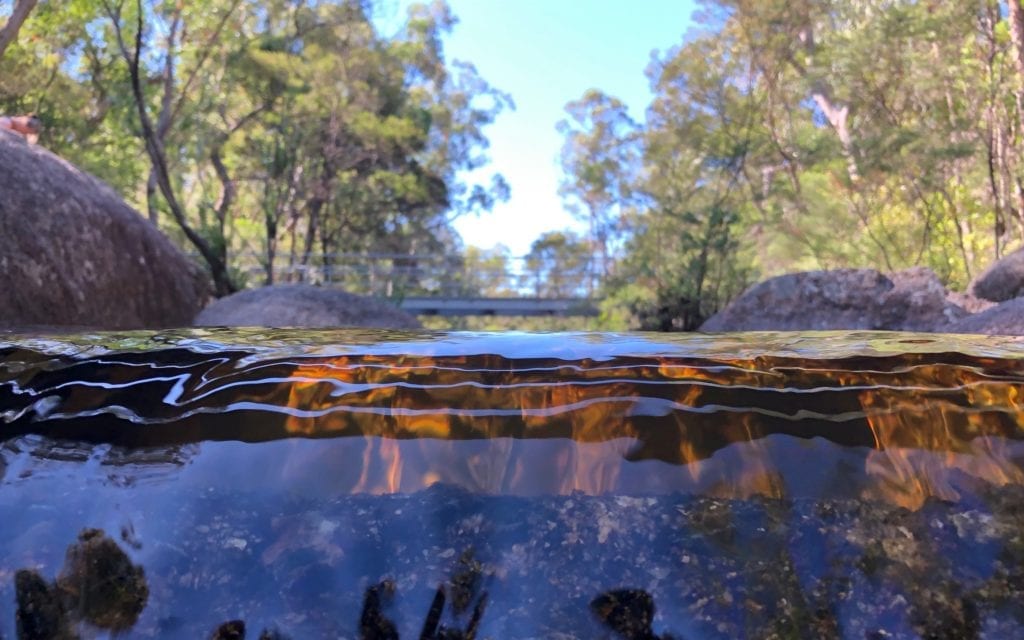 The weir at Mulligans Hut campground, Gibraltar Range National Park.