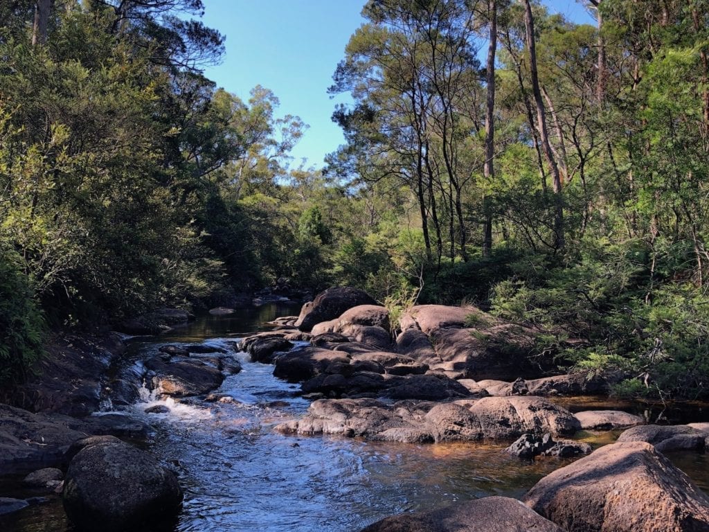 Little Dandahra Creek at Mulligans Hut campground, Gibraltar Range National Park.