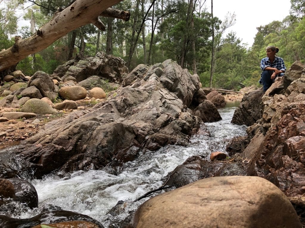 Wadbilliga River, Wadbilliga National Park.