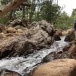 Wadbilliga River, Wadbilliga National Park.