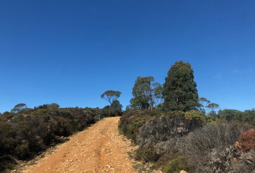 Sub-alpine heathlands, Wadbilliga National Park.