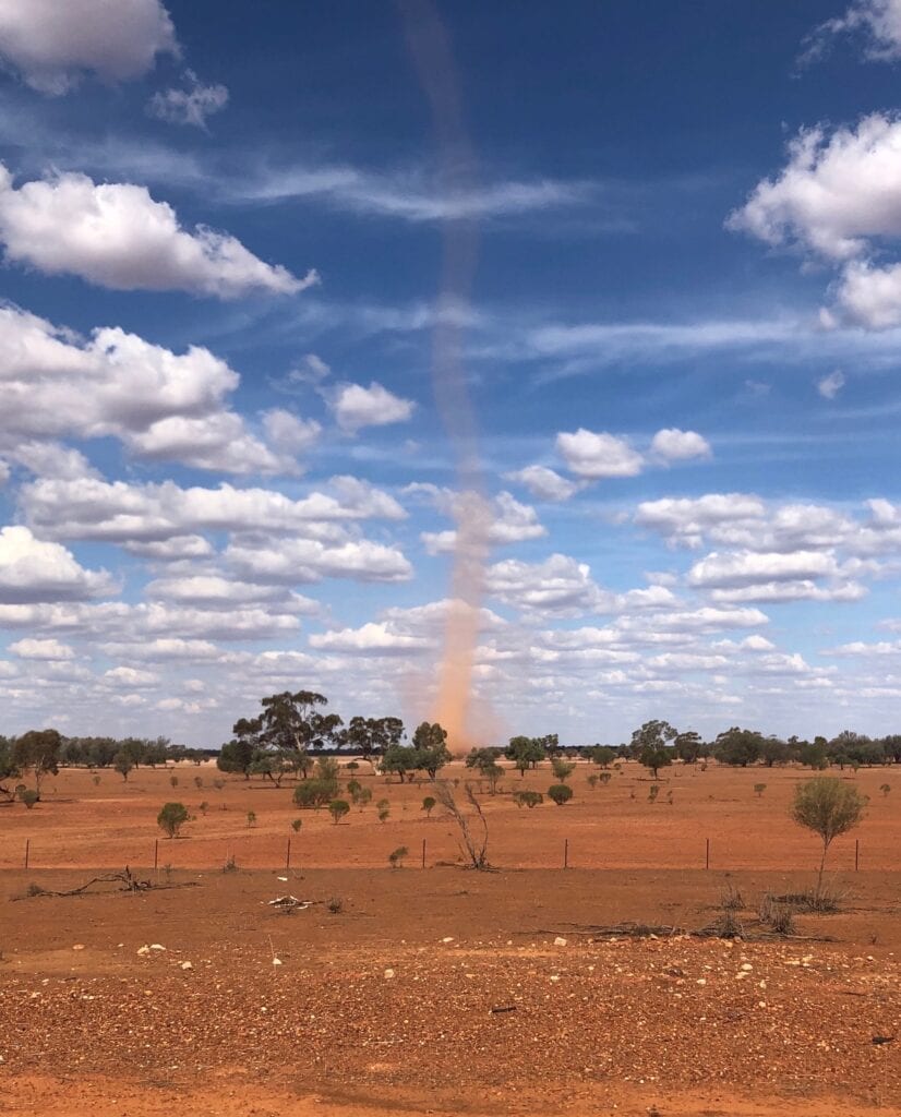 Years of over-grazing and low rainfall have created desert-like conditions in Western NSW. Small mammals are struggling to survive in conditions like this.