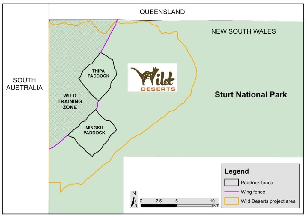 Styled map of the Wild Deserts project area in NSW. Protecting mammals and other threatened species.