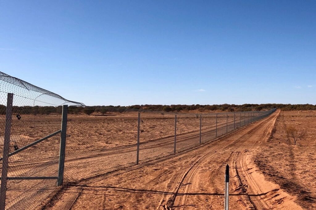 This fence is specially designed to keep predators out and to prevent small mammals like burrowing bettongs from digging under, thus providing access for predators to get in.