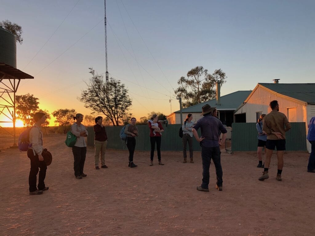 An early start to the annual Ecological Survey at Wild Deserts. Australian marsupials.