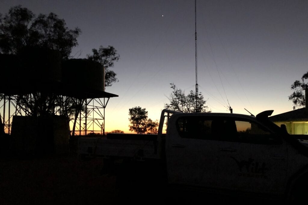 Sunrise at Wild Deserts, Fort Grey. Australian marsupials.