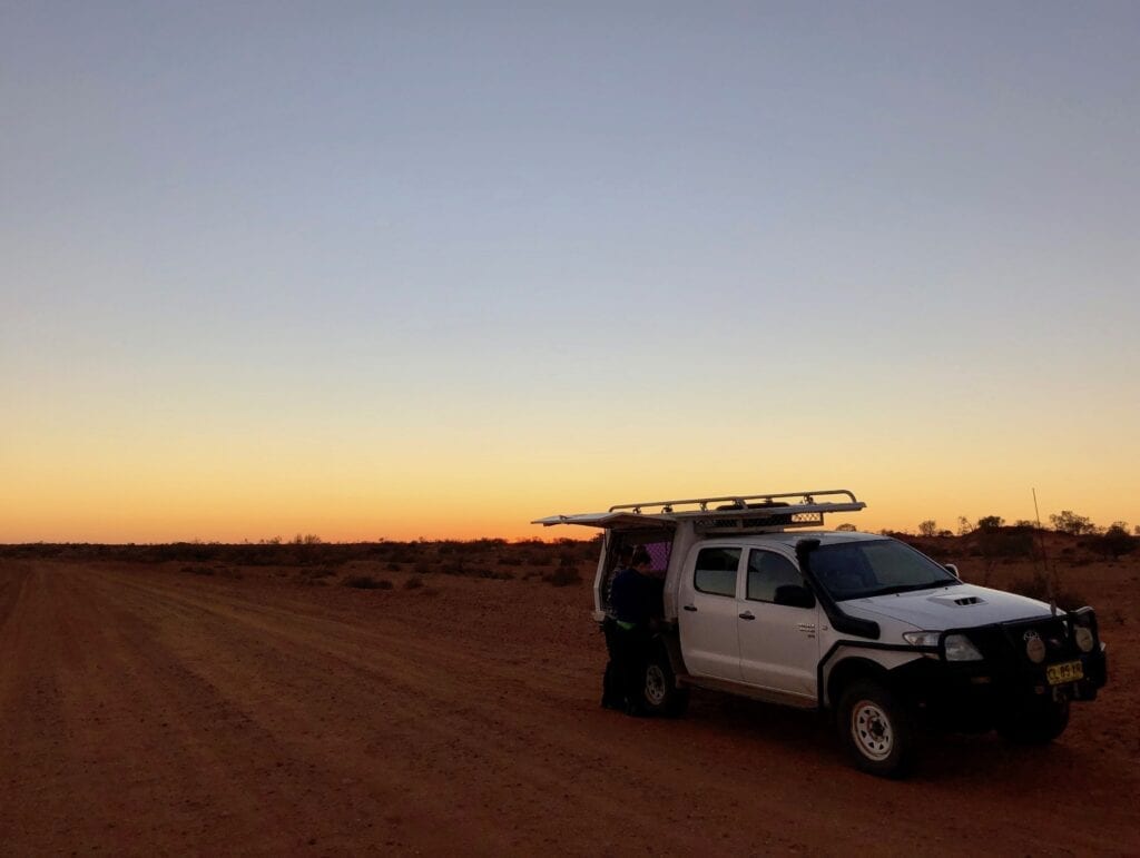 Sunrise at Wild Deserts. Australian marsupials.