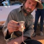 This dusky hopping mouse is one of the cutest Australian marsupials you'll ever see.