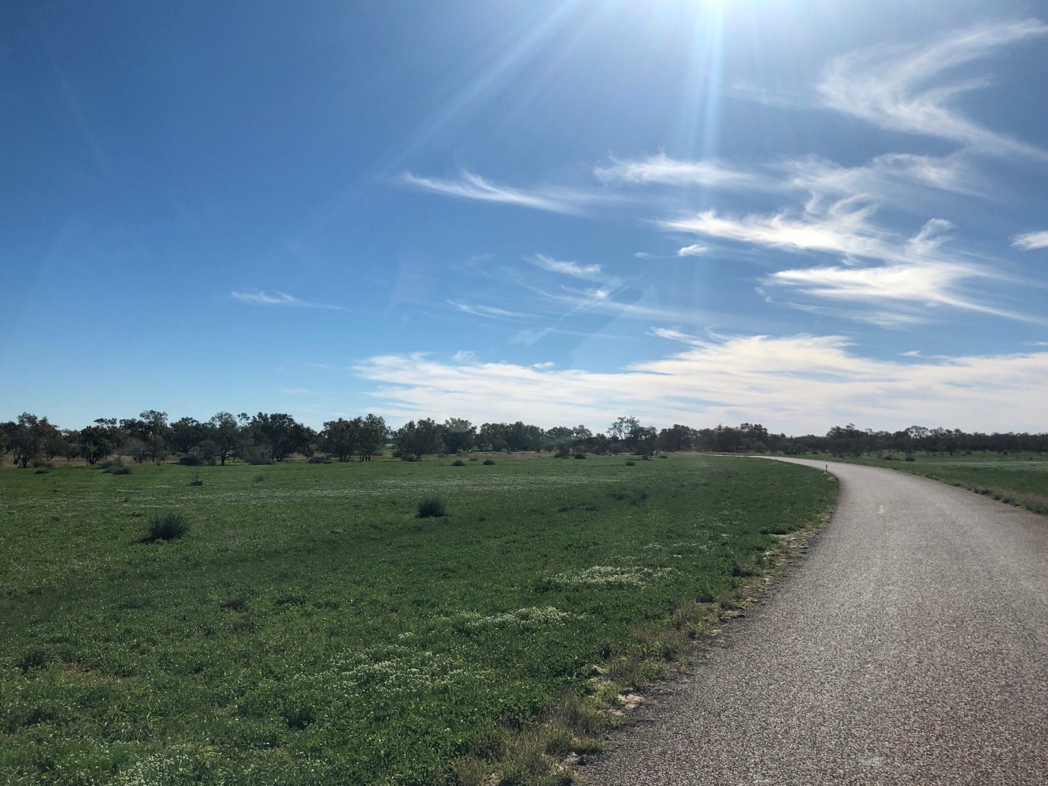 The floodplain is a vibrant green after the recent flood. Cooper Creek QLD.