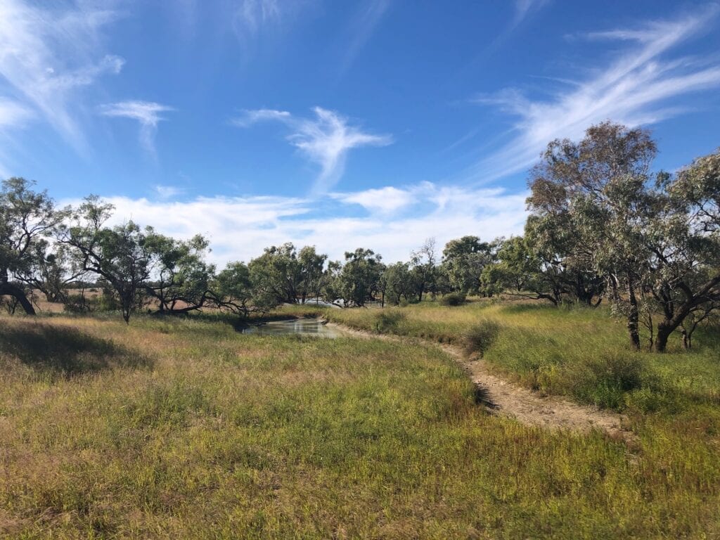 There's still plenty of water lying in pools across the floodplain. Cooper Creek QLD.