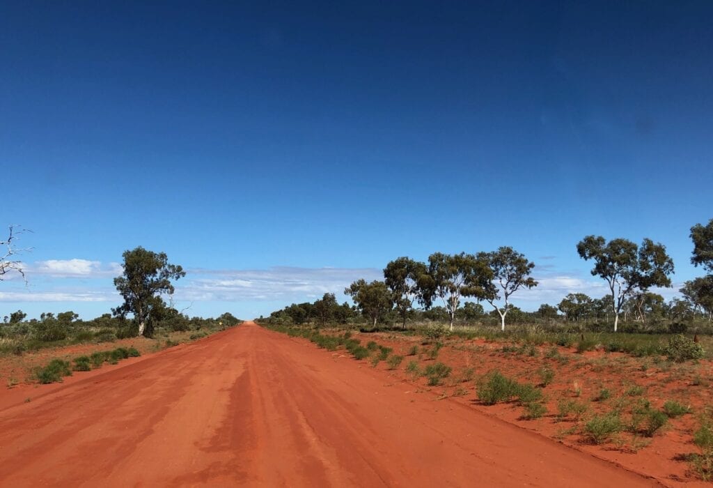 Classic colours of the Red Centre along the Sandover Highway. The greens and whites of the trees contrast with the deep reds of the sand.