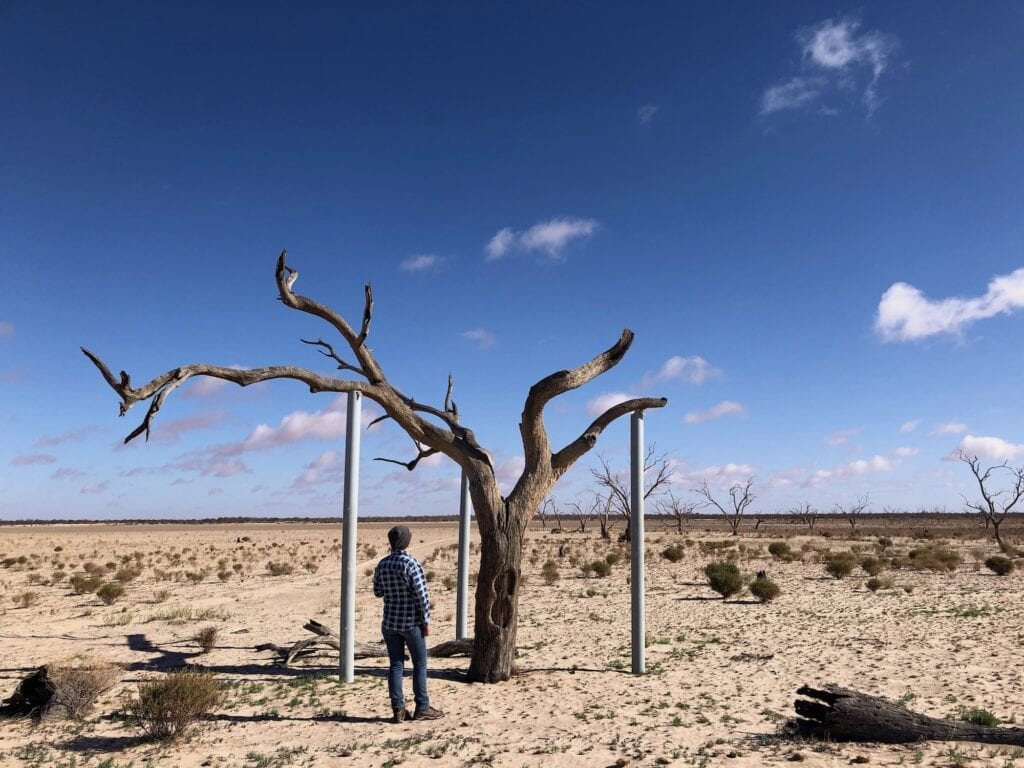 Sturt's Tree at Fort Grey was drowned in the 1956 flood. Lake Pinaroo, Sturt National Park NSW.