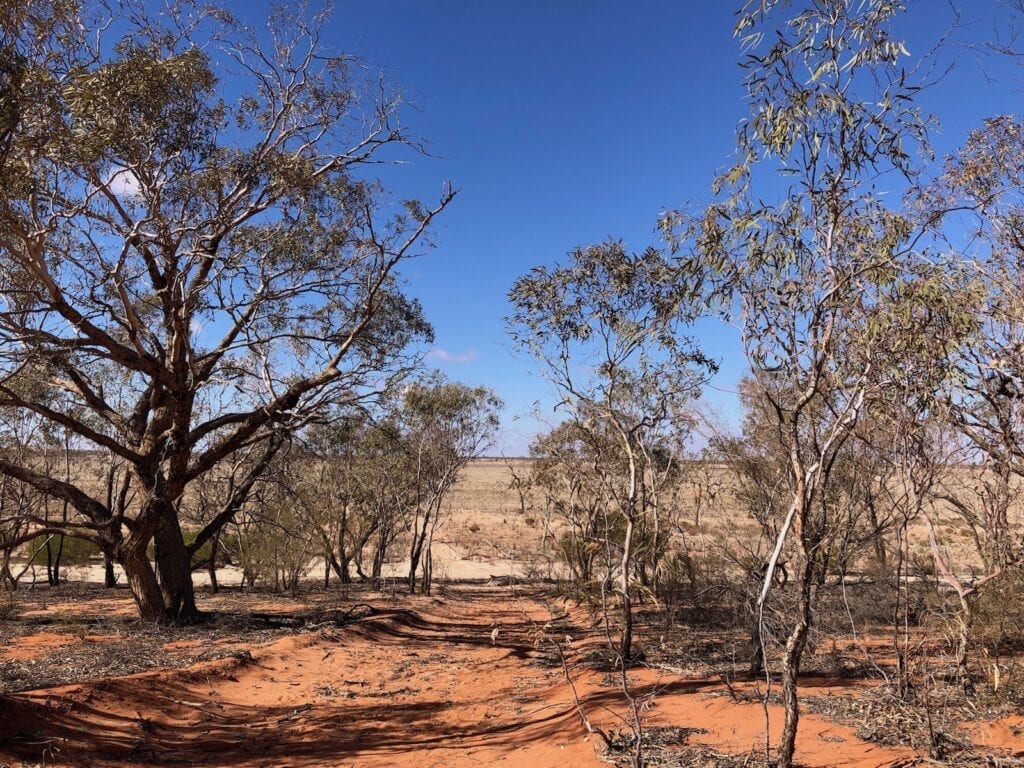 Looking down at the lake from the sand dunes. Lake Pinaroo, Sturt National Park NSW.