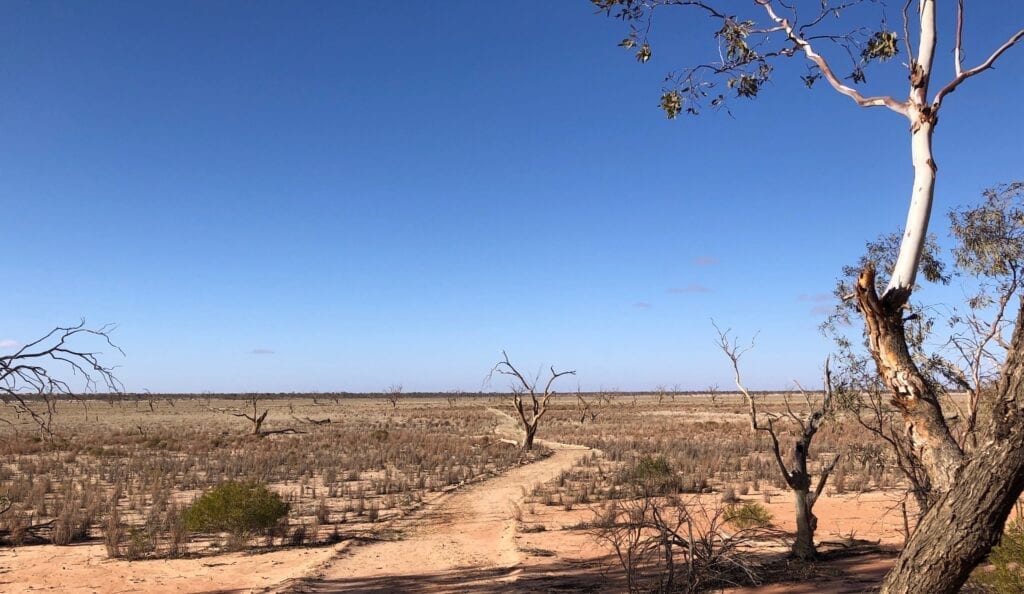 The beginning of the long walk across the lake bed. Near Fort Grey campground, Lake Pinaroo, Sturt National Park NSW.