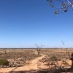 The beginning of the long walk across the lake bed. Fort Grey Campground, Lake Pinaroo, Sturt National Park NSW.