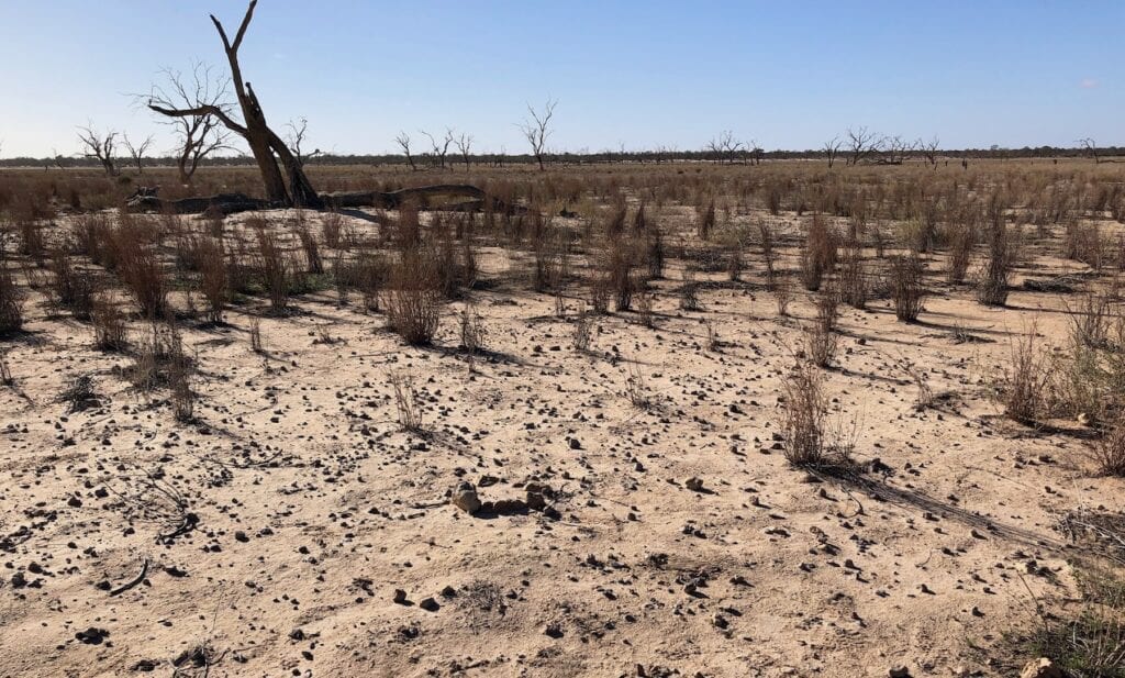 The small stones from the cooking hearth have been exposed over time.  Lake Pinaroo, Sturt National Park NSW.