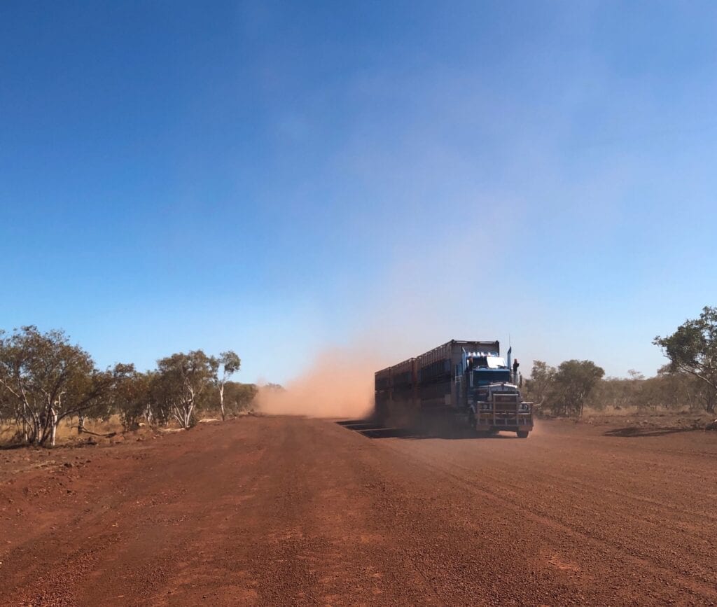 A triple roadtrain full of cattle, kicking up the dust on the Buntine Highway, west of Kalkarindji NT.