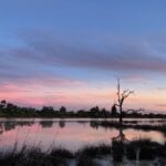 Sunrise on Birdsville Lagoon, Birdsville QLD.