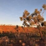 The colours of Judbarra / Gregory National Park are unbelievably beautiful.