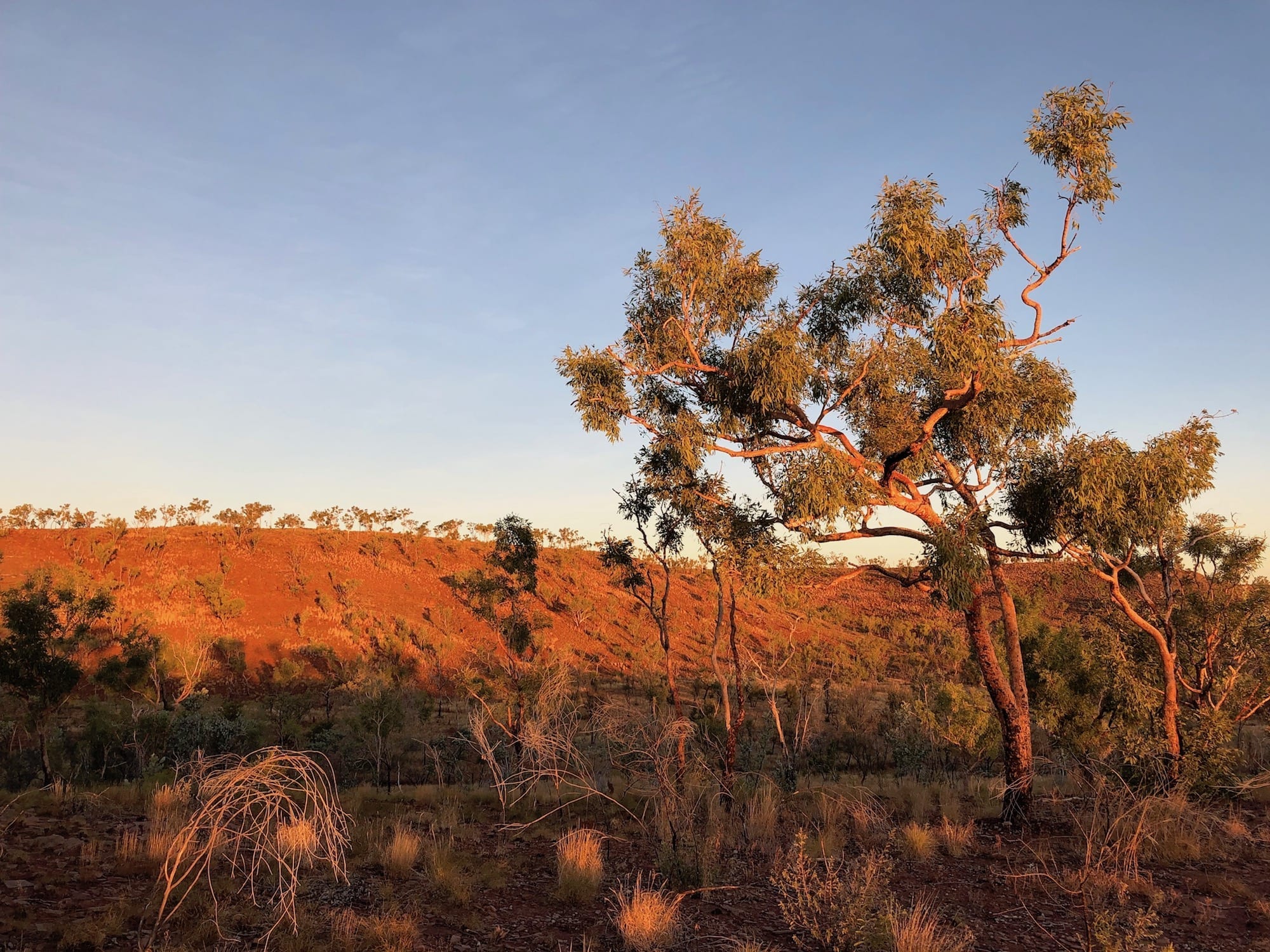 The colours of Judbarra / Gregory National Park are unbelievably beautiful.