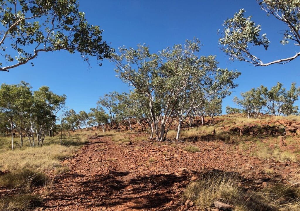 Just some of the tyre-shredding rocks we encountered on the tracks of Judbarra / Gregory National Park.