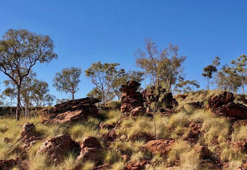 The ancient landscape is awe-inspiring along the Broadarrow Track in Judbarra / Gregory National Park.