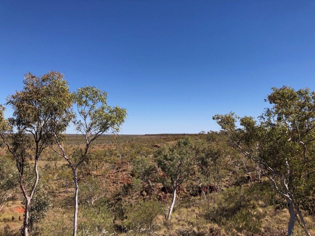 Looking NW across the vast plains from the top of an escarpment along the Broadarrow Track, Judbarra / Gregory National Park.