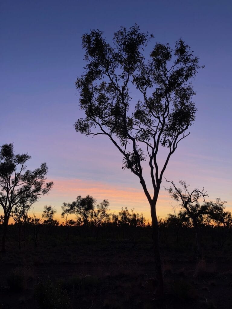 Even the sunrises are spectacularly beautiful in Judbarra / Gregory National Park.