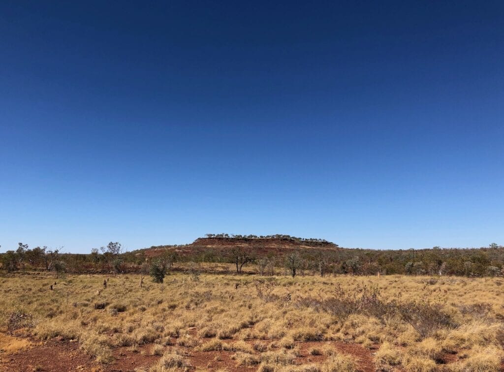 A large flatted-topped mesa dominates the landscape east of Camel Point, Judbarra / Gregory National Park.