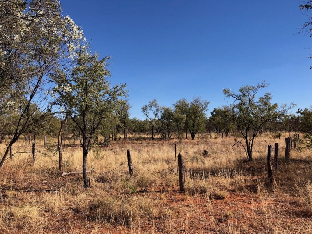 Remains of the Dingo Yards on Wickham Track, Judbarra / Gregory National Park