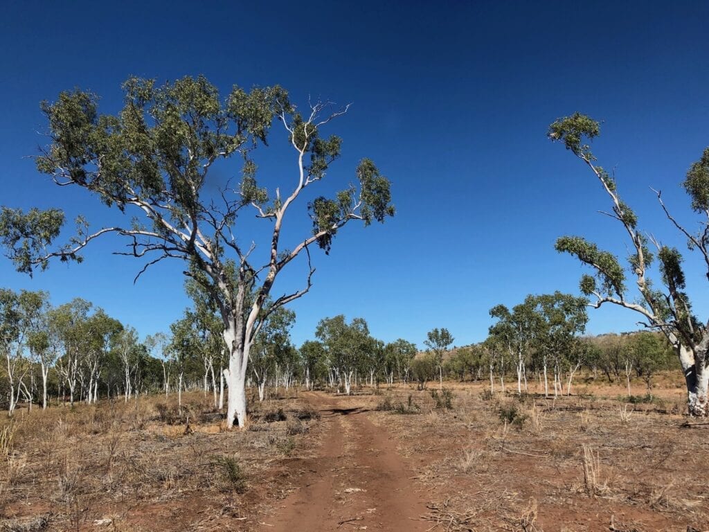 The Gibbie Track in Judbarra / Gregory National Park follows Gibbie Creek, which runs between two escarpments.