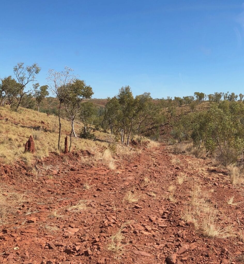 The southern sections of Gibbie Track are hard going, with long stretches of tyre-shredding rocks. Judbarra / Gregory National Park.