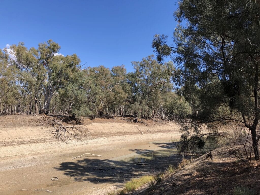 The Darling River at Pooncarie NSW is dry.