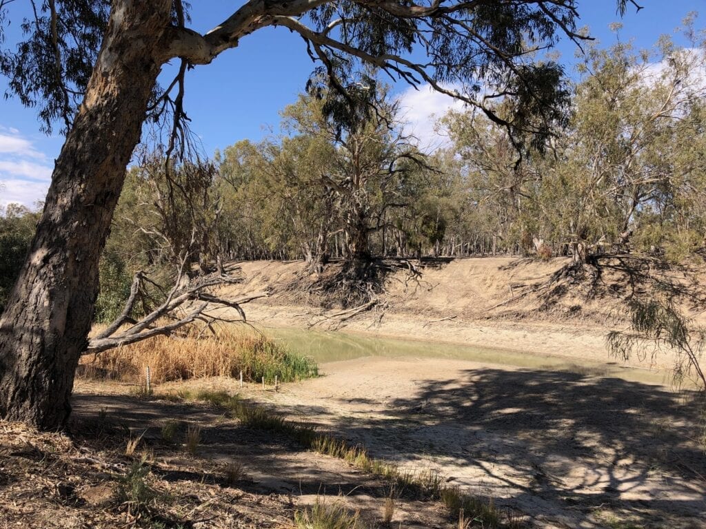 A stagnant pool of green water on the lower Darling River at Pooncarie, NSW. This is at the site of the old wharf where paddle steamers once moored.