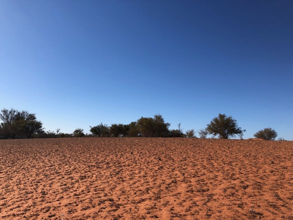 Barren drought-stricken land on the western side of the lower Darling River.