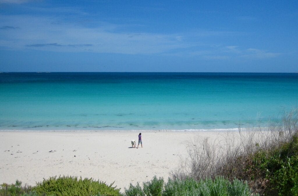 Just one of the thousands of beautiful beaches you'll see when you travel around Australia.