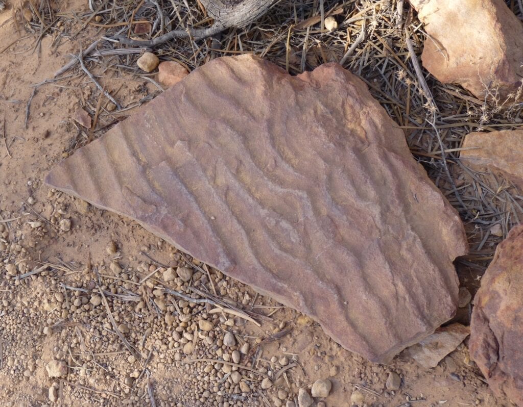 Fossilised sand ripples from an ancient seabed. Kalbarri WA.