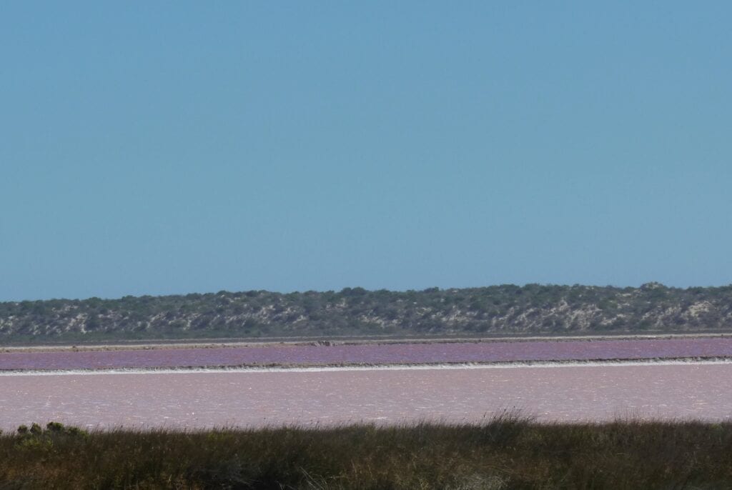 The extraordinary pinks colours of Hutt Lagoon, near Kalbarri WA.