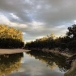 Camped on the Murrumbidgee River, Murrumbidgee Valley Regional Park.