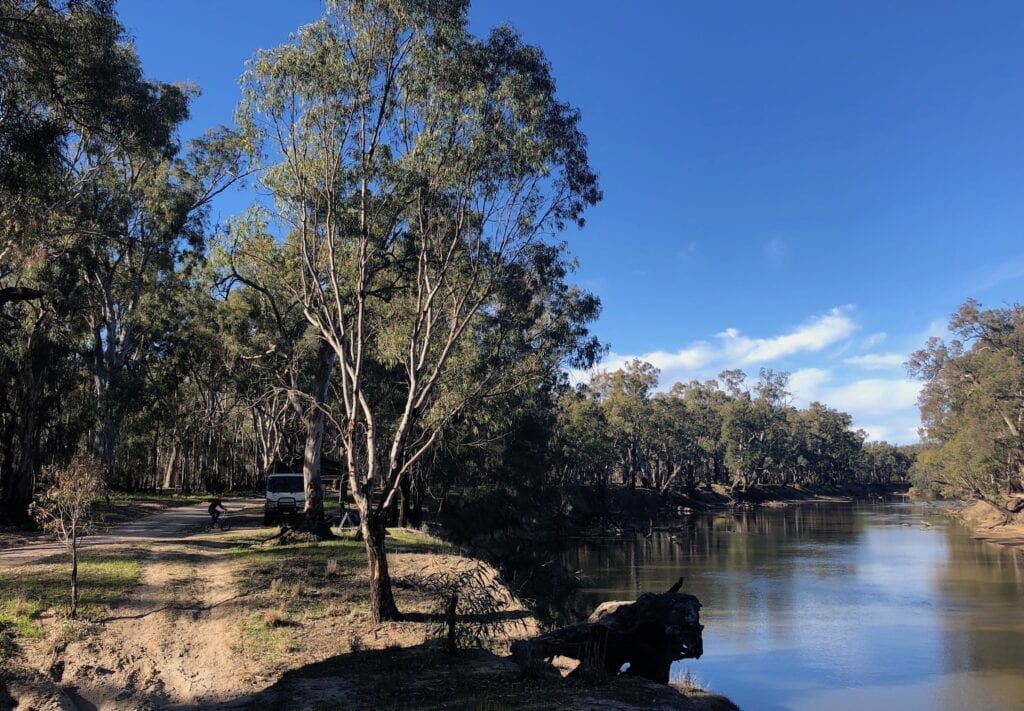 Our campsite at Willibriggie. Murrumbidgee Valley Regional Park.